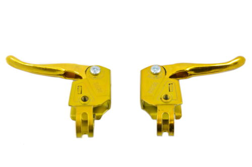 Gold raleigh burner - burner, school