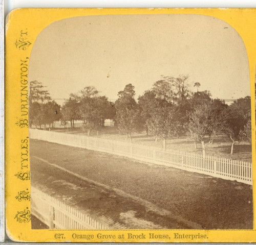 Florida orange grove brock - at,