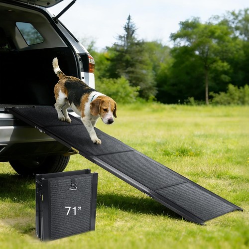 Dog car ramp - dog,