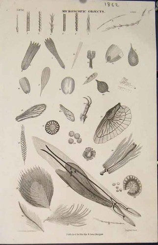 Original old antique print 43 - print, *43