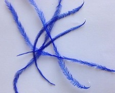 9-14 CM 4-6inch Natural Fluffy