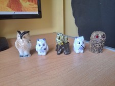 Five  Various Small Owls 4