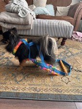 Chihuahua/ Toy Breed SMT Weight Pull Harness XXS For Dogs Rainbow Colours