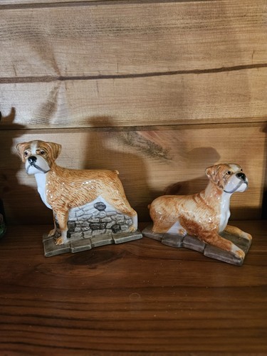 Vintage boxer dog - vintage,