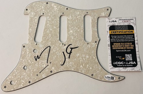 The lumineers signed guitar - the,
