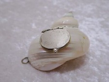 Antique Shell Box for e.g