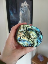 Labradorite Crab