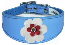 Sky Blue Whippet Leather