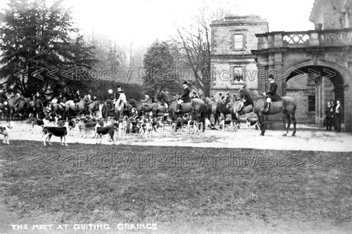 Zcc fox hounds - zcc-42,
