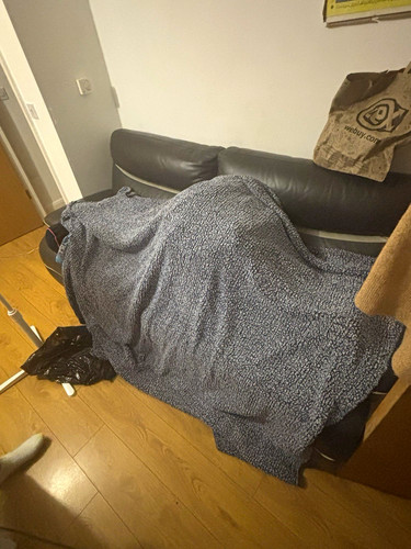 Teddy bear soft - bear, sofa