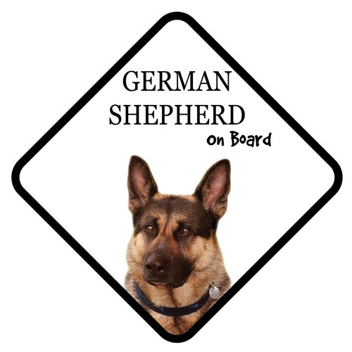 German shepherd board - shepherd, car