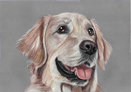 Original color pencil artwork