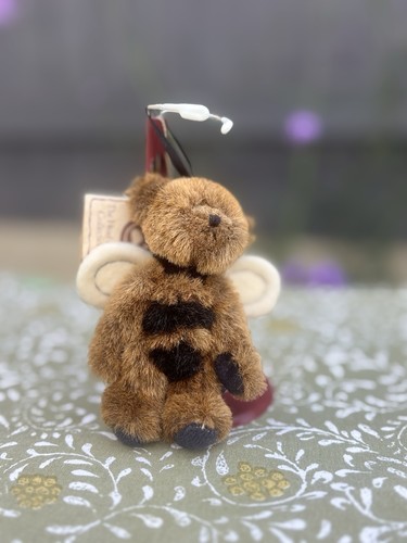 Boyds beezer the - head, bean