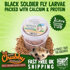 1L Chubby Dried Black Soldier