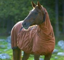 Boett Eczema Blanket Sweet