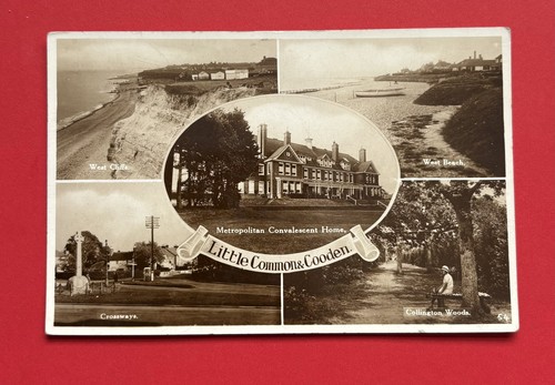 Little common cooden - little, &