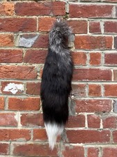 New European Silver Fox Tail