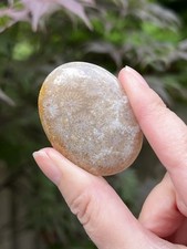 Fossilized coral crystal - fossilized,