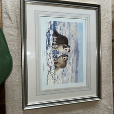 DAVID SHEPHERD - ARCTIC FOXES - FRAMED & SIGNED PRINT - 931/1500 LIMITED EDITION