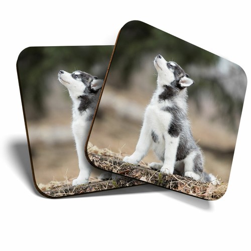 Coasters siberian husky - -,