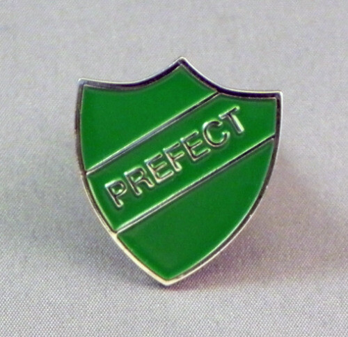 Green prefect enamel pin badge - green,