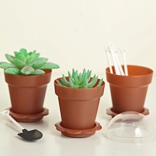 12 TERRACOTTA Mini Flower Pot