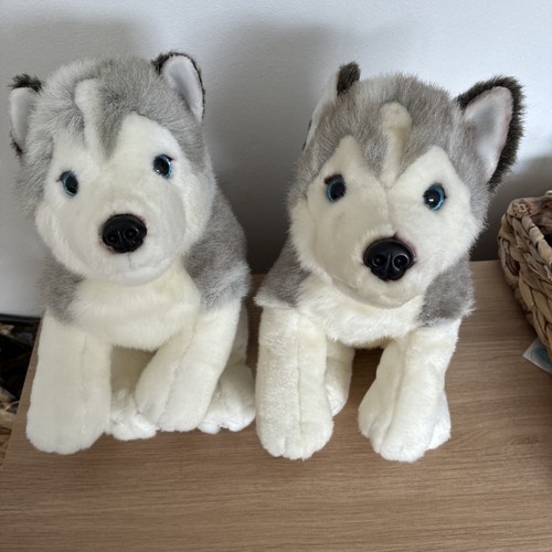 Lapland jarvi husky heroes - jarvi,