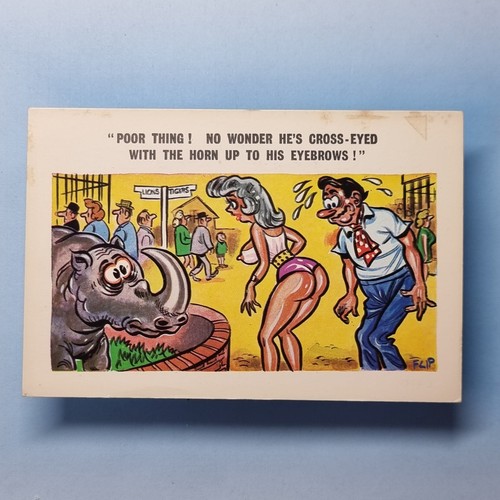 Saucy comic postcard c1970 zoo - comic,