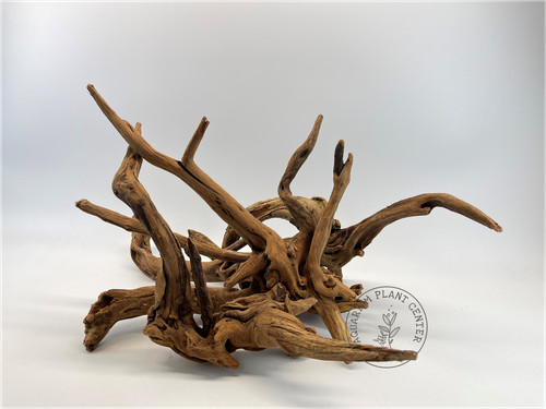Bog wood aquarium décor - aquarium,