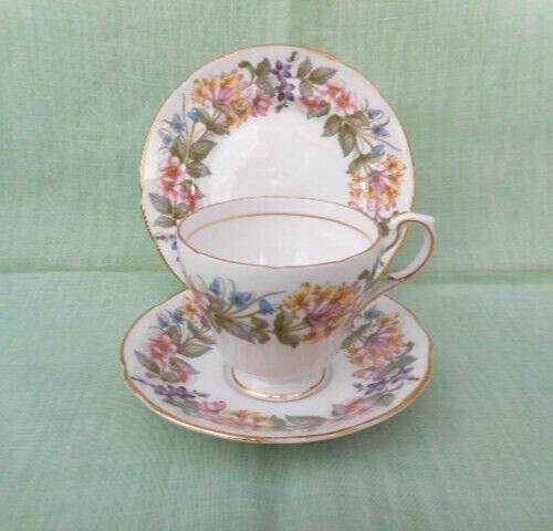 Paragon bone china country - bone,