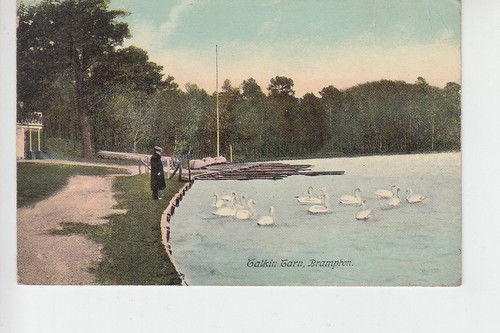 Rppc swans talkin tarn - swans, on