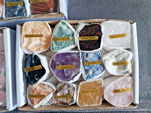 British fossils mixed - mixed, job