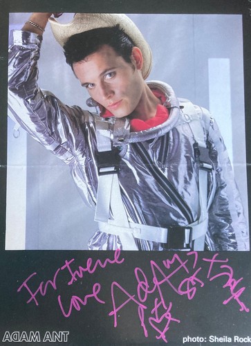 Adam ant and - ants, 8x6