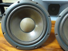 DIATONE DS-800Z 12-Inch