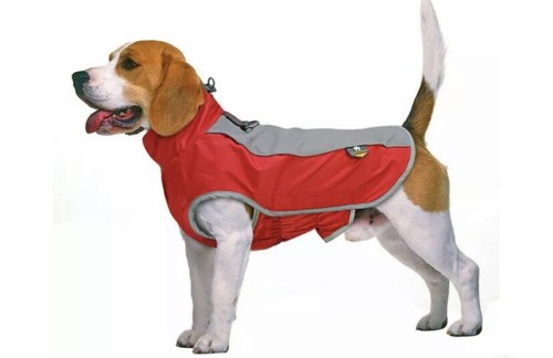 Warm pet dog coats - dog, jacket