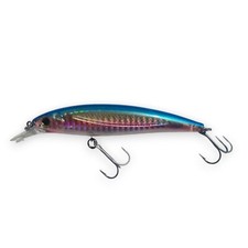 Rainbow Runner Baitfish