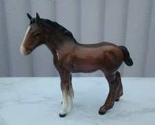 Beautiful Figure Shire Horse