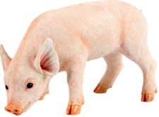 Pig Ornament Resin Statue