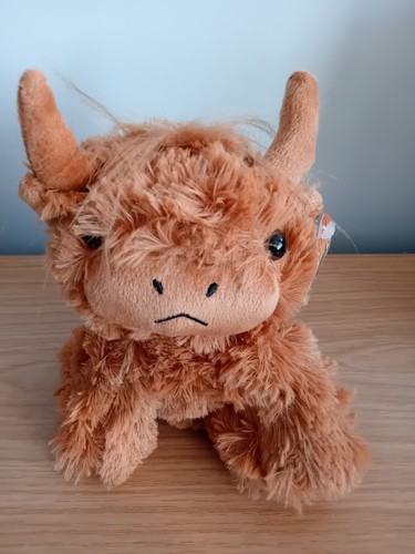 Cute highland cow cuddly - cow,