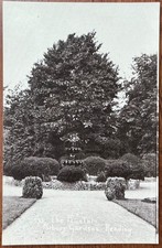 RPPC VIEW OF THE FOUNTAIN IN FORBURY GARDENS READING BERKSHIRE NO.595