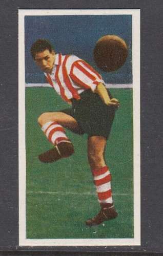 George shaw sheffield united - shaw,