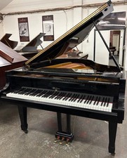 Weber by Young Chang Grand