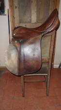 Stubben Siefried General