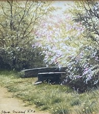 Steven Townsend Original