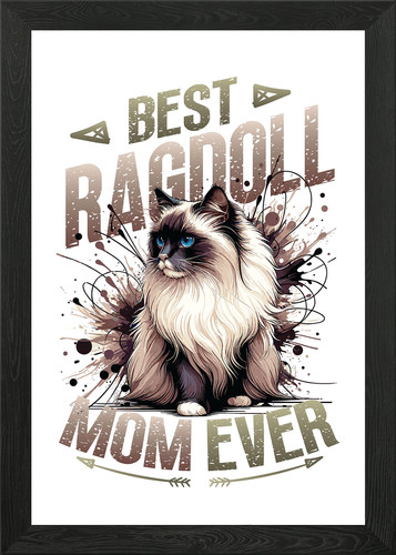 Ragdoll cat mom - cat,