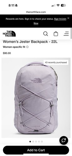 The north face women jester - north,