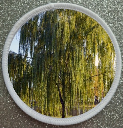 Weeping willow tree iron - iron, /