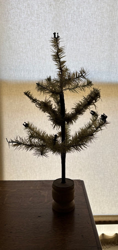 Antique german feather - german, tree