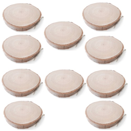10x birch wood slices 10cm - 10x,