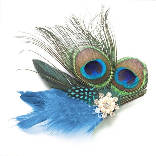 Elegant peacocks feather - peacocks,